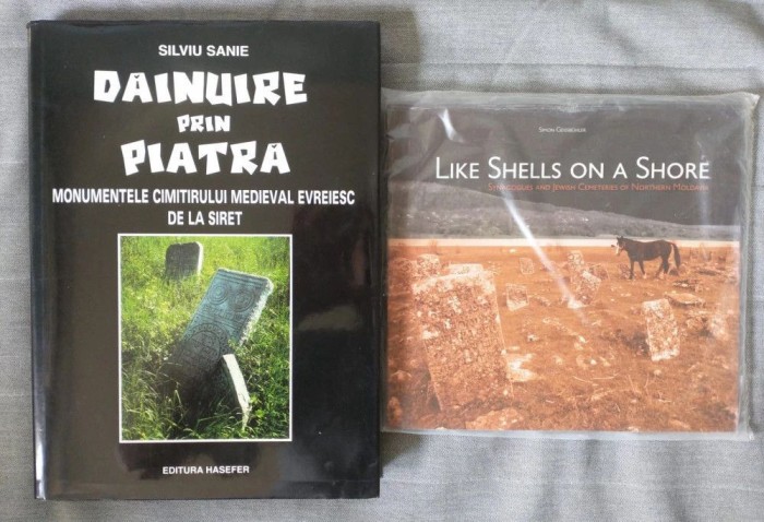 Silviu Sanie - Dăinuire prin piatră: monumentele... + Like Shells on a Shore