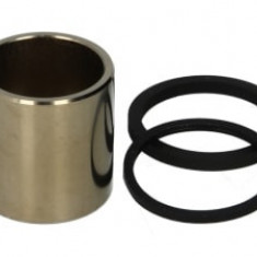 Piston etrier spate (diametru interior: 25,6mm/diametru exterior: 30,1mm/inaltime: 31mm, with sealants) compatibil: KAWASAKI KDX, KLX, KX; SUZUKI RM 1