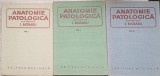Anatomie Patologica vol. 1-3, I. Moraru (red.), Editura Medicala 1980, 1567 pagini, hardcover