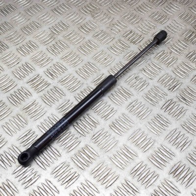 Amortizor capota st&amp;acirc;nga față TESLA MODEL 3 2019 OEM: 1091472-00-B 14890767 foto