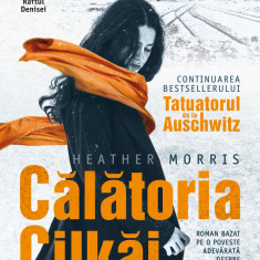 Călătoria Cilkăi (ebook)