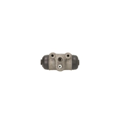 Clilindru pistonas frana FIAT DUCATO platou sasiu 290 ABE C5F003ABE foto