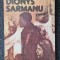DIONYS SARMANUL - Maia Belciu