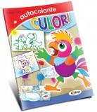 Autocolante. Culori |