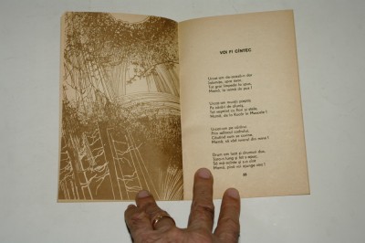 In mijlocul luminii - Ion Letu - ilustratii George Scutaru foto