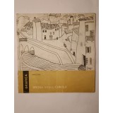 Simona Vasiliu-Chintilă: Grafică (catalog expoziție)
