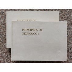 Principles Of Neurology Fourth Edition - Raymond D. Adams, Maurice Victor , B805
