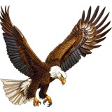 Sticker Auto, Vultur, 25 cm, 12229ST-18