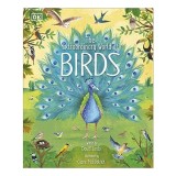 Extraordinary World of Birds, David Lindo, Claire McElfatrick
