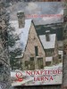 Valere Staraselski - Noapte de iarna