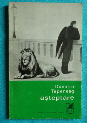 Dumitru Tepeneag &amp;ndash; Asteptare ( volum interzis si retras din librarii ) foto