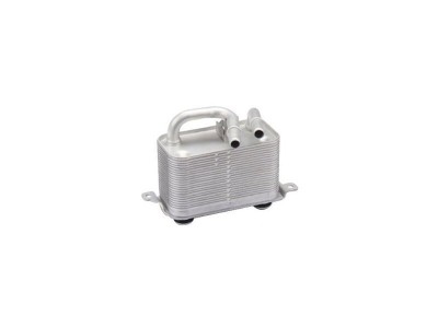 Radiator racire ulei motor, termoflot BMW Seria 5 E60/E61, 06.2003-07.2005, motor 2.5 R6, 141 kw, 3.0 R6, 170 kw, 4.4 V8, 245 kw, benzina, 525i; 530i foto