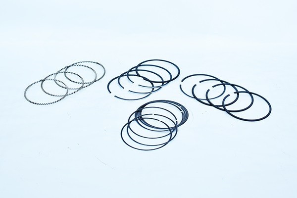 ASAM 55838 Set segmenti piston