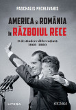 Cumpara ieftin America si Romania in Razboiul Rece. O destindere diferentiata 1969&ndash;1980, Litera