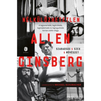 N&amp;eacute;lk&amp;uuml;l&amp;ouml;zhetetlen Allen Ginsberg - Allen Ginsberg foto