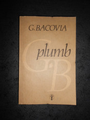 G. BACOVIA - PLUMB foto