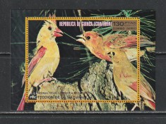 Guinea Ecuatoriala 1976 - Pasari din America de Nord S/S 1v MNH