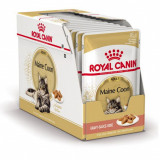 Cumpara ieftin ROYAL CANIN Maine Coon Pliculeț - 12 x 85g