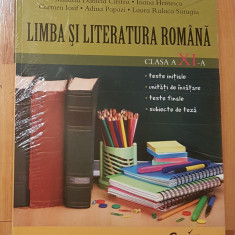 Limba si literatura romana, clasa a XI-a de Mihaela Daniela Cirstea