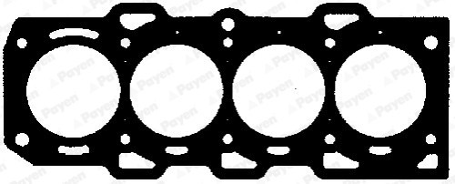 PAYEN AA5420 Garnitura, chiulasa