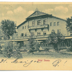 5275 - SINAIA, Hotel, Litho, Romania - old postcard - used - 1902