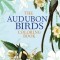 The Audubon Birds Coloring Book