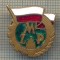 Y 477 INSIGNA- ,,MZP&quot;- UNGARIA ? -PENTRU COLECTIONARI