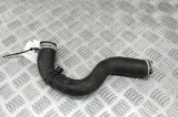 Furtun de lichid de răcire FORD PUMA J2K, CF7 2022 OEM: L1BG-8B274-AD 29945848