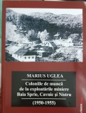 COLONIILE DE MUNCĂ BAIA SPRIE CAVNIC NISTRU 1950-5 DETINUTI POLITICI LEGIONAR