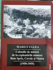 COLONIILE DE MUNCĂ BAIA SPRIE CAVNIC NISTRU 1950-5 DETINUTI POLITICI LEGIONAR