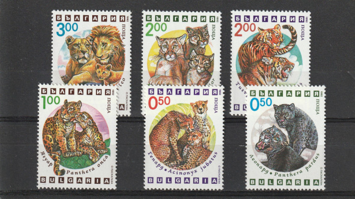 Fauna ,pantera ,leu,tigri.....Bulgaria.