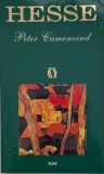 Peter Camenzind - Hermann Hesse - Carte (Noua/Anticariat) - Stare Buna/Foarte Buna