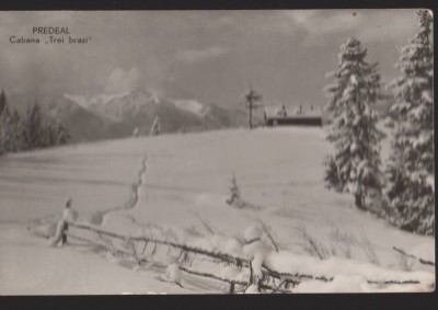 CPIB 22568 - CARTE POSTAL - PREDEAL. CABANA TREI BRAZI, RPR foto