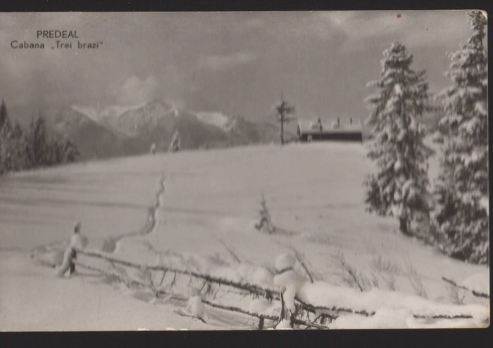 CPIB 22568 - CARTE POSTAL - PREDEAL. CABANA TREI BRAZI, RPR