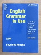 English grammar in use - Raymond Murphy foto