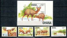 Ghana 1984 - Fauna WWF, serie+colita neuzata foto