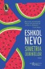 Simetria dorintelor - Eshkol Nevo - Roman