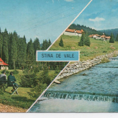 CPI B 11081 CARTE POSTALA - STANA DE VALE, MOZAIC