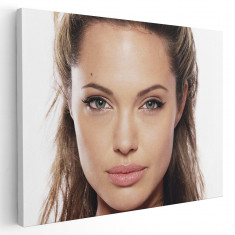 Tablou Angelina Jolie actrita 2154 Tablou canvas pe panza CU RAMA 60x90 cm foto