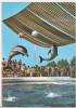 Bnk cp Constanta - Delfinariul - circulata, Printata