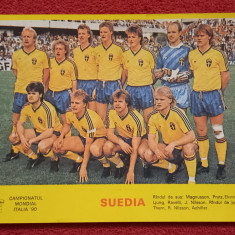 Foto echipa fotbal - SUEDIA (CM Italia 1990)