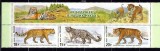 RUSIA 2014, Fauna, Feline, serie neuzata, MNH