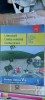 LITERATURA LIMBA ROMANA COMUNICARE CLASA A V A CARSTOCEA COLUMBAN GAL ART, Clasa 5