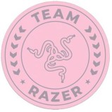 Cumpara ieftin Covor de podea Razer Team, stratul superior: 100% catifea din