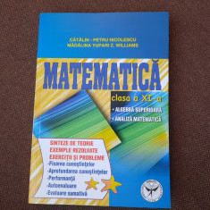 CATALIN PETRU NICOLESCU ANALIZA MATEMATICA /ALGEBRA SUPERIOARA CLASA A XI A