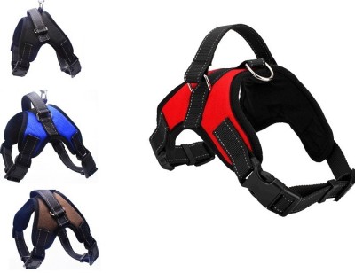 Ham Power x-trem 45 &amp;ndash; 54 cm foto