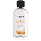 Maison Berger Paris Aroma Energy reumplere &icirc;n aroma difuzoarelor (Sparkling Zest) 200 ml