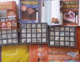 COMORILE PAMANTULUI - Deagostini 59 DE REVISTE SI MINERALE IN TAVITE SPECIALE