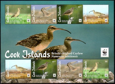 COOK Islands 2017, Fauna Pasari WWF, serie neuzata, MNH foto