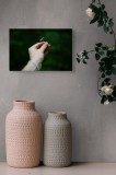 Tablou Canvas Natură și Verdeață, Artă Simplitate &icirc;n Natură, 39 x 26 cm, CMCLASS